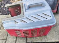 Grajewo ogłoszenia: Oddam stara kosiarkę do trawy Einhel. Silnik jest spalony ale... - zdjęcie